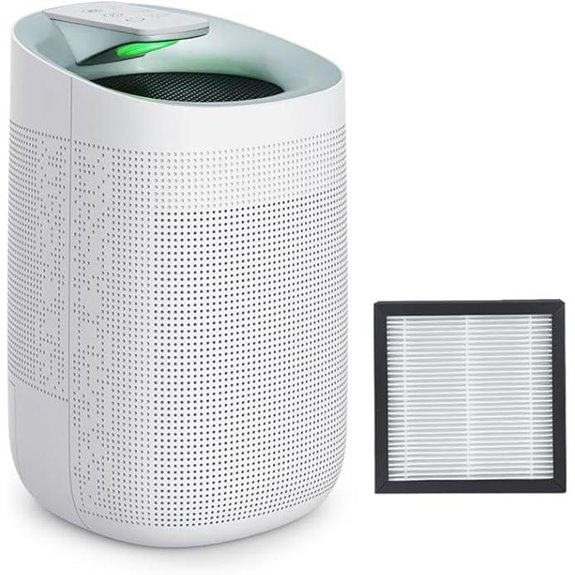 1000ml Air Dehumidifier with WiFi and True HEPA