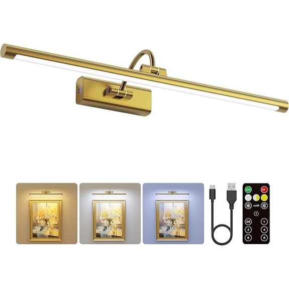 Wireless Wall Art Light with Remote and Battery