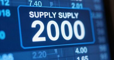 important token supply number