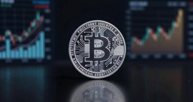 underlying assets and stability