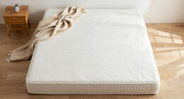 10 Best Best Latex Mattress Queen Premium in 2026