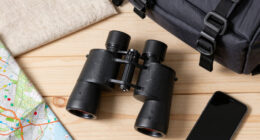 15 Best Best Binoculars Premium For Travel In 2026