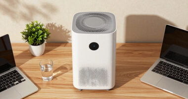 15 Best Dehumidifier for Office and Basement in 2026
