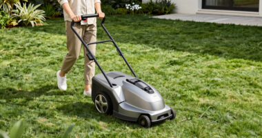 7 Best Robot Lawn Mower Premium in 2026