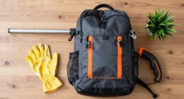 8 Best Best Leaf Blower Backpack Premium in 2026