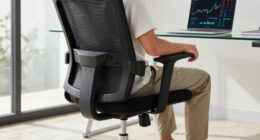 9 Best Office Chair Premium for Back Support in 2026