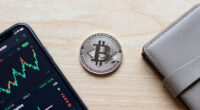 Bitcoin Price Loses Momentum Below $65K As Whales And Long Holders Take Profits