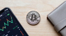 Bitcoin Price Loses Momentum Below $65K As Whales And Long Holders Take Profits