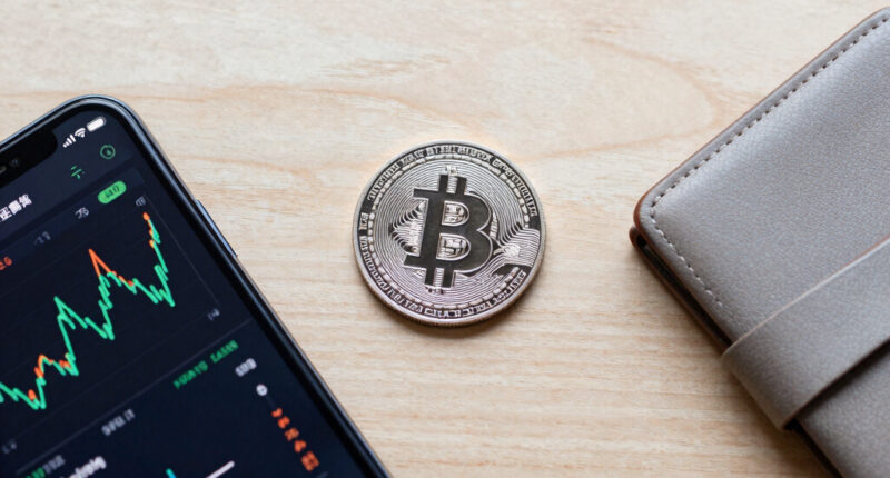 Bitcoin Price Loses Momentum Below $65K As Whales And Long Holders Take Profits