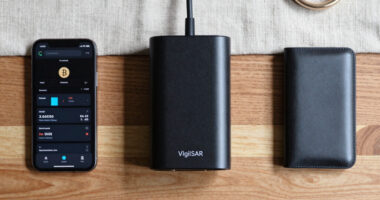 VigilSAR Benchmark: There Is No Best Model